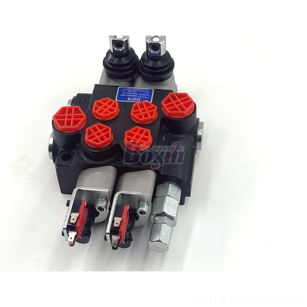 Tailor Your Hydraulics: OEM & ODM Services for P40 Micro Switch Valve detail image